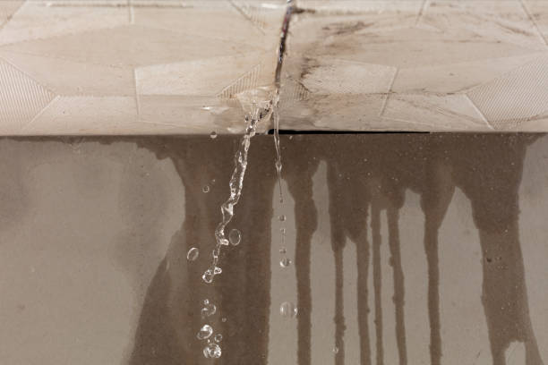 Professional Water Damage Repair technician working in Ivanhoe, TX